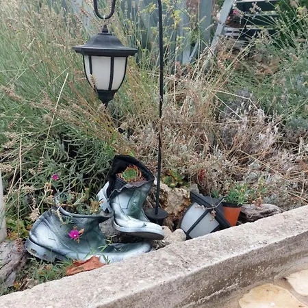 Apartment Ivana Dolores Vinišće