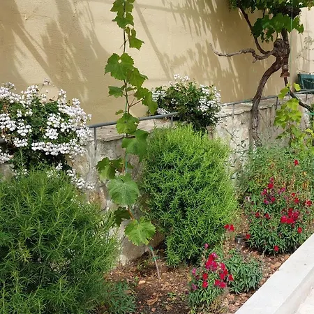 Apartment Ivana Dolores Vinišće