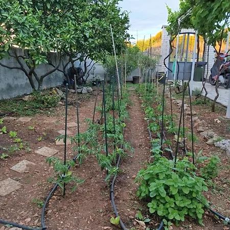 Apartment Ivana Dolores